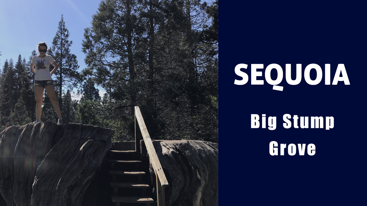 Секвойя парк: памятник жестокости к природе - Big Stump Trail